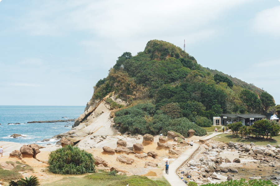 野柳岬特殊地型，岩石及灌木分佈，凸起的小山丘上長滿了茂密的樹林