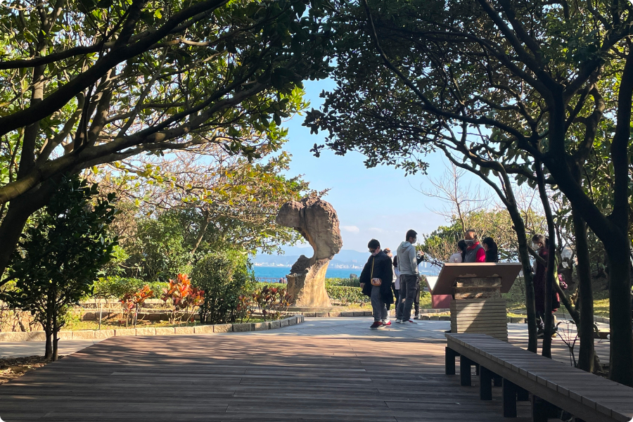 野柳地質公園一隅,陽光撒落在錯落的植物下，遊客悠閑的享受日光浴